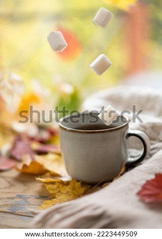 Cozy autumn concept. A cup of tea with levitating sugar cubes on a windowsill against a background of glass with raindrops Royalty-Free Stock Photo #2223449509