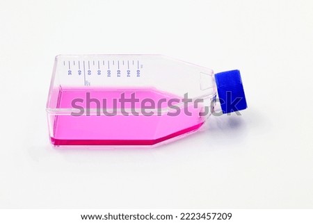 A Roux cell culture bottle for the study of cells and viruses, such as coronaviruses and other emerging viruses Royalty-Free Stock Photo #2223457209