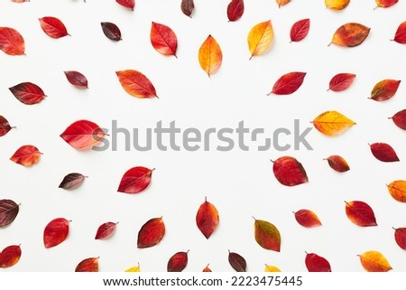 Creative layout with colorful autumn fall leaves. Flat lay, top view.