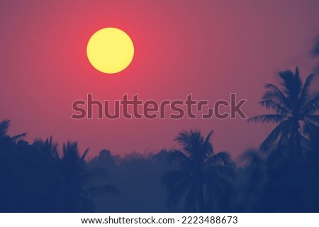 nature landscape background with coconut silhouette palm trees on sunset, amazing orange sky with clouds. Copy space.halloween scene tree