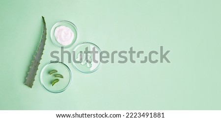Photography from above of petri dishes with cosmetics gel in it and slices of aloe vera.Organic cosmetics concept,large banner.