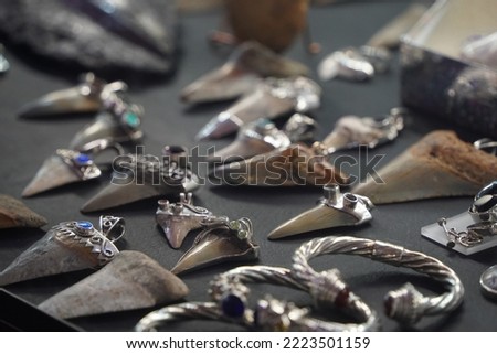 shark teeth pendant in jewelry store shop
