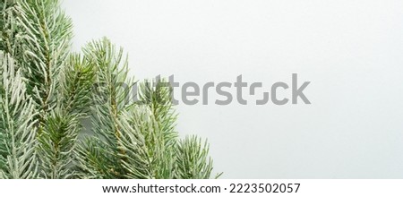 close up top view of white mockup background texture with frozen pine branches tree leaves and copy space for greeting card and ads banner in merry christmas celebration design concept