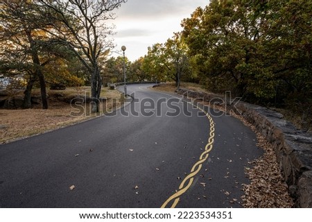 Curvy asphalt road with a yellow painted road marking.