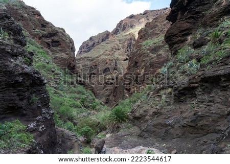Landscape of Masca gorge. Tenerife. Canary Islands. Spain. Royalty-Free Stock Photo #2223544617