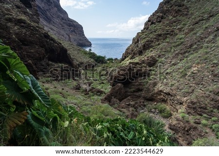 Landscape of Masca gorge. Tenerife. Canary Islands. Spain. Royalty-Free Stock Photo #2223544629