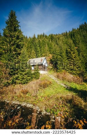 A lonely house in the autumn mountains.
A beautiful forester's house in the mountains Royalty-Free Stock Photo #2223576425