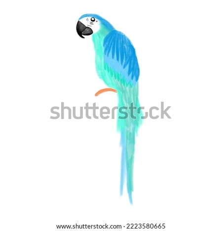 Tropical Bird Illustration. Blue Macaw  Digital Illustration. 