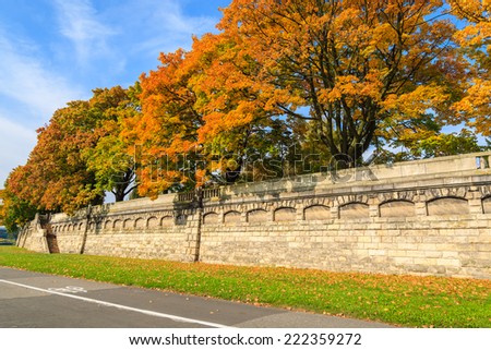Bike lane along colorful trees in city park of Krakow on sunny autumn day, Poland