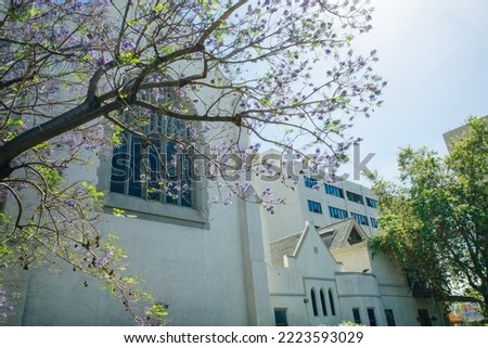 Los Angeles, USA - sep, 2021 St James Episcopal Church Royalty-Free Stock Photo #2223593029