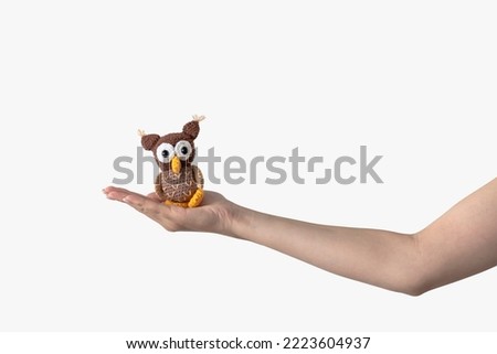 Owl on a female palm on a white background