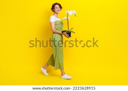 Full size photo of adorable young woman walking carry orchid houseplant care wear trendy khaki outfit isolated on yellow color background