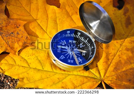 Compass among the autumn leaves. The navigation device on the background of fallen leaves in the forest.