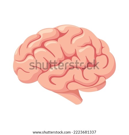 The human brain on a white background. Cartoon design.
