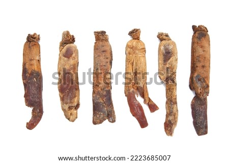 Set of Ginseng isolated on the white background.