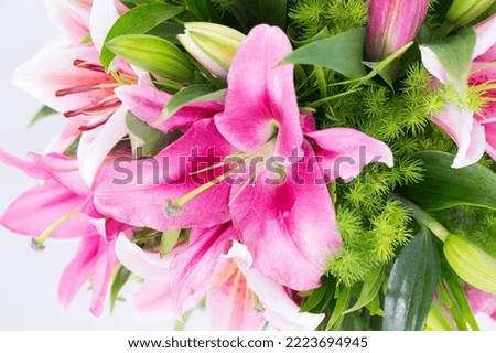 Many kinds of flowers images clear shot and macro shot see the picture in detail