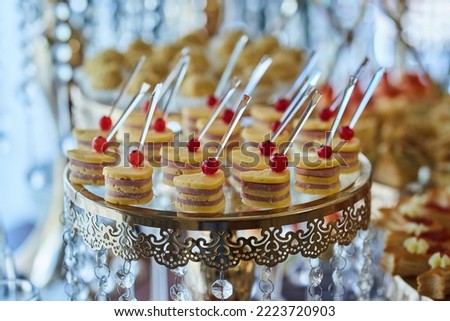 Delicious and mouth-watering canapes with various fillings. Decoration for a festive table