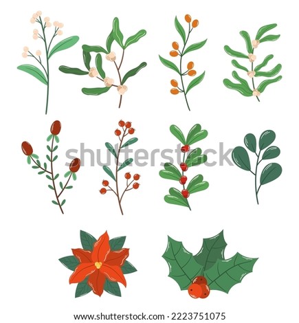 Winter Collection Plants, of Berries and Leaves. Poinsettia, Holly Berries and Rowan Branches. Christmas Floral Elements for Invitation, Greeting Card, Print. Cartoon Vector Illustration