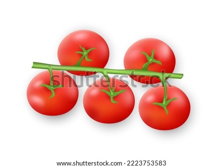 Realistic tomato branch, ripe red cherry tomatoes on green stem isolated on white background. Tasty fresh vegetables for salad and meal cooking. 3d vector illustration
