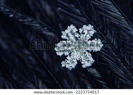 Real snowflake on blue background. Christmas winter snowflakes background. Snowflake Closeup. Macro photo. Copy space. Ice, frost