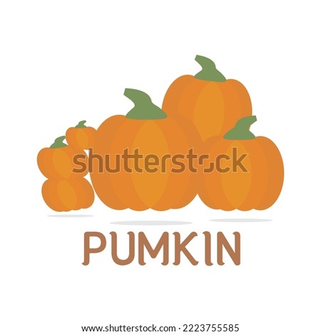 Pumpkin Orange Simple Design vector illustration