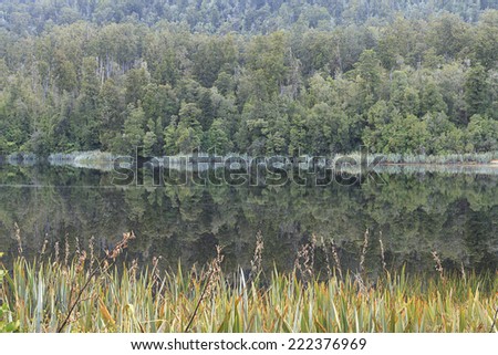 Reflection of Lake Matheson in morning. West Coast region, South Island, New Zealand.