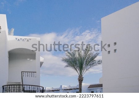 Cases of hotels in Turkey or Egypt. Palm trees in the hotel complex. Tourism in warm countries on the sea coast. Background screensaver minimalism neutral. Palm leaves against the sky