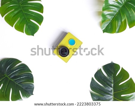 The yellow camera in the middle of the four green monstera leaves, the photo was taken in the morning inside the house with enough sunlight next to the window.