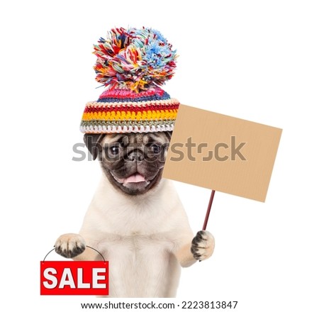Happy Pug puppy wearing a warm hat with pompon holds blank banner mock up on wood stick and  signboard with labeled "sale". isolated on white background