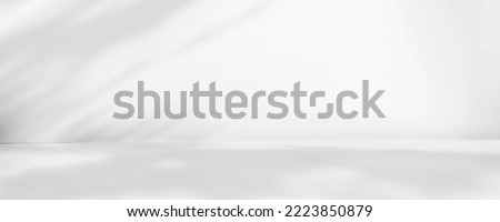Abstract white studio background for product presentation. Empty room with shadows of window and flowers and palm leaves . 3d room with copy space. Summer concert. Blurred backdrop. Banner Royalty-Free Stock Photo #2223850879