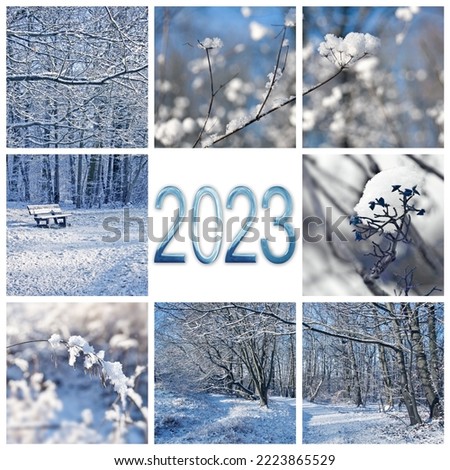 2023, snow and winter landscapes, new year  square greeting card