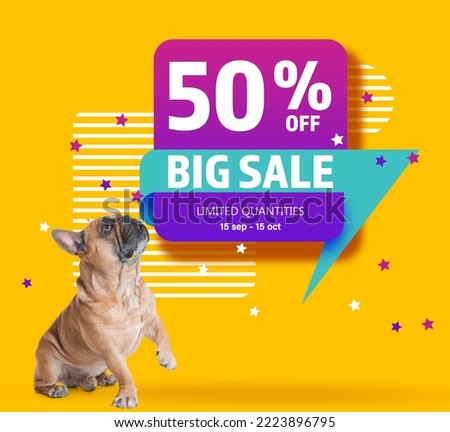 Advertising poster Pet Shop SALE. Cute dog and discount offer on yellow background