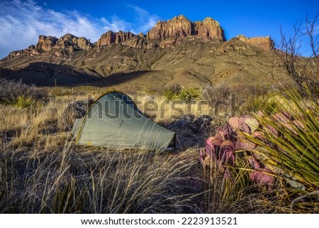 Backcountry Tent Camping in Big Bend National Park, Texas - Ultralight Hiking Gear Tarp Tent Campsite with Prickly Peak Cactus, Chisos Mountains Landscape Background Royalty-Free Stock Photo #2223913521