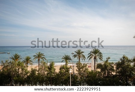 Panoramic view of the beach of Alicante with its calm sea under its blue sky with some clouds showing the palm trees along the coast.
