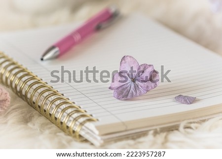Cozy coffee break scene on a white fur with notebook and pen and a hydrangea blossom, cream and lilac colors