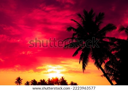 Coconut palm trees silhouettes at sunset with colorful sky
