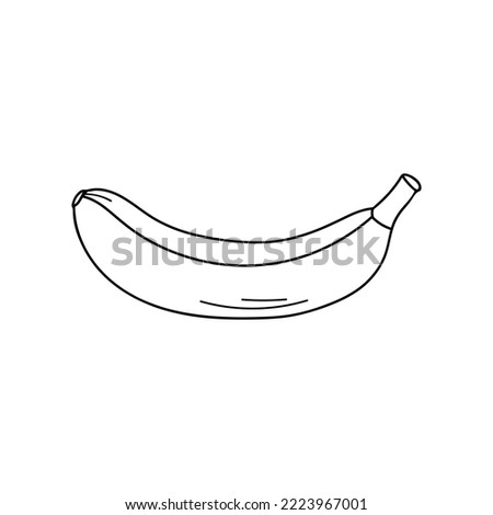 Banana doodle illustration in vector. Banana hand drawn illustration. Tropical fruit in vector
