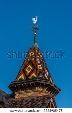 Weather vane with white bird on top of a turret on the street, Ukraine, close up