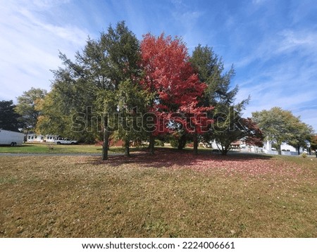 Pictures of Trees in The Fall Changing Colors
