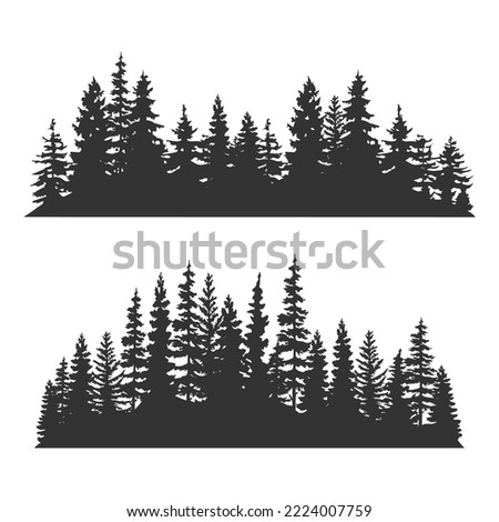 Spruce forest silhouette.Spruce wood silhouette.Spruce tree silhouette.