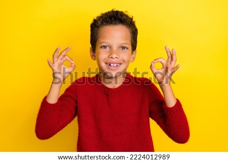 Photo portrait of adorable little boy show double okey symbol feedback wear trendy red knitwear outfit isolated on yellow color background