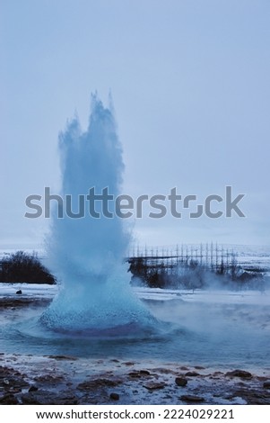 The colorful geyser landscape at the Haukadalur geothermal area, part of the golden circle route, in Iceland. November 2021.