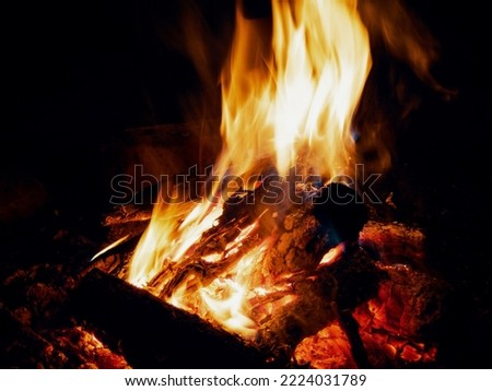 Bonfire with burning firewood at night