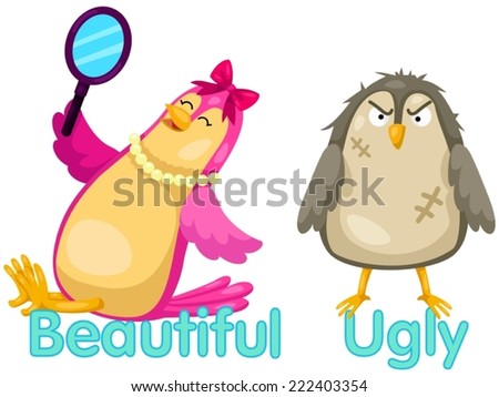 illustration of isolated cute birds with opposite words