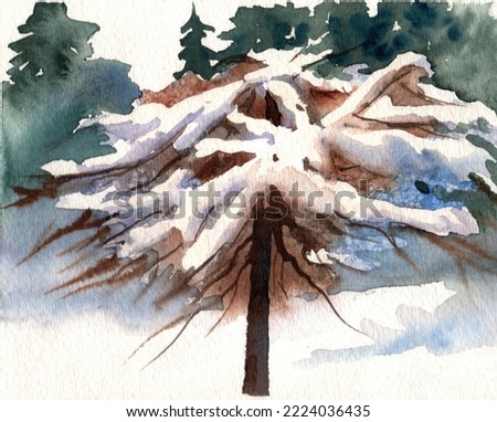 Tree in snow, winter landscape. Hand drawn watercolor illustration. Abstarct. Can be used for Christmas holiday postcards, posters, wallpaper, websites, printing products, travel agences