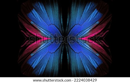 Blue abstract pattern. Wings of the butterfly Ulysses. Close up. Wings of a butterfly texture background.	
