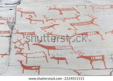 Prehistoric rock carvings with animals, protected by Unesco, in Alta, Norway
