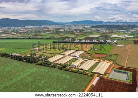 Rural landscape with grass and corn fields as raw materials for dairy cows to eat, at Don Duong, Lam Dong, Vietnam. Near Dalat city