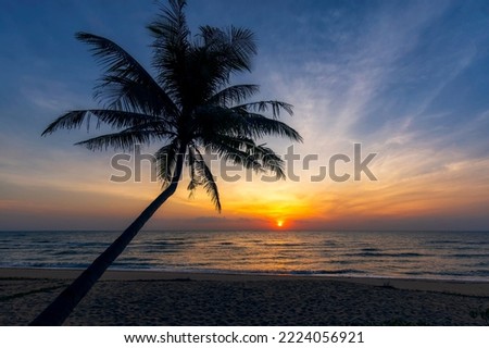 Beautiful palm tree in sea beach at sunrise. Royalty-Free Stock Photo #2224056921