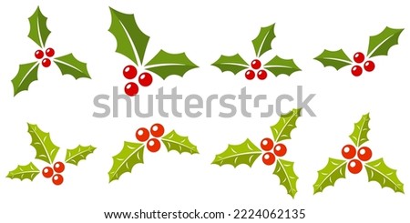 Set of holly berries in flat style isolated